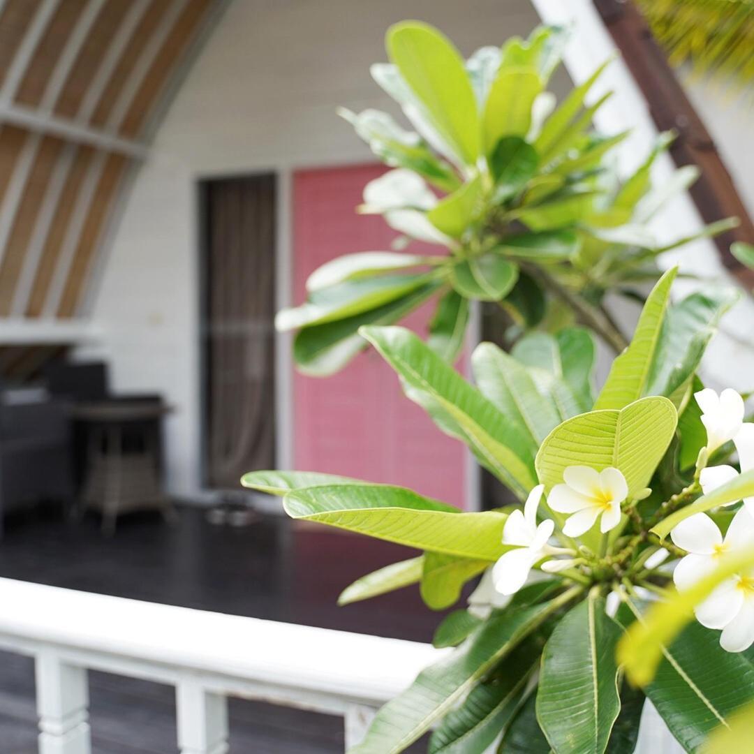 Gili Lumbung Bungalow غيلي آير المظهر الخارجي الصورة
